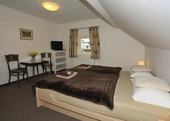 招待所 U Kasny 3*